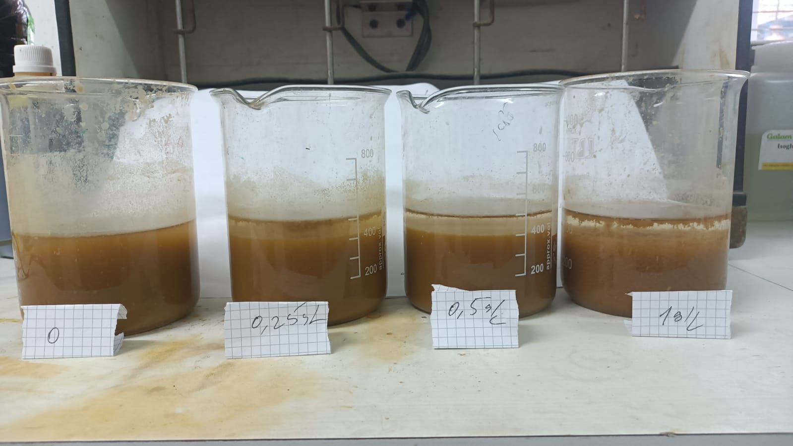Lab